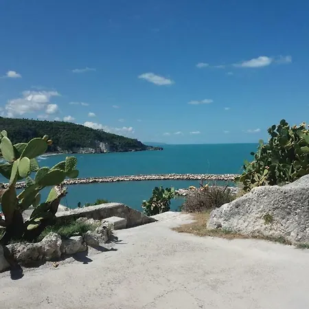 Casa vacanze Bilocale Con Terrazzino *